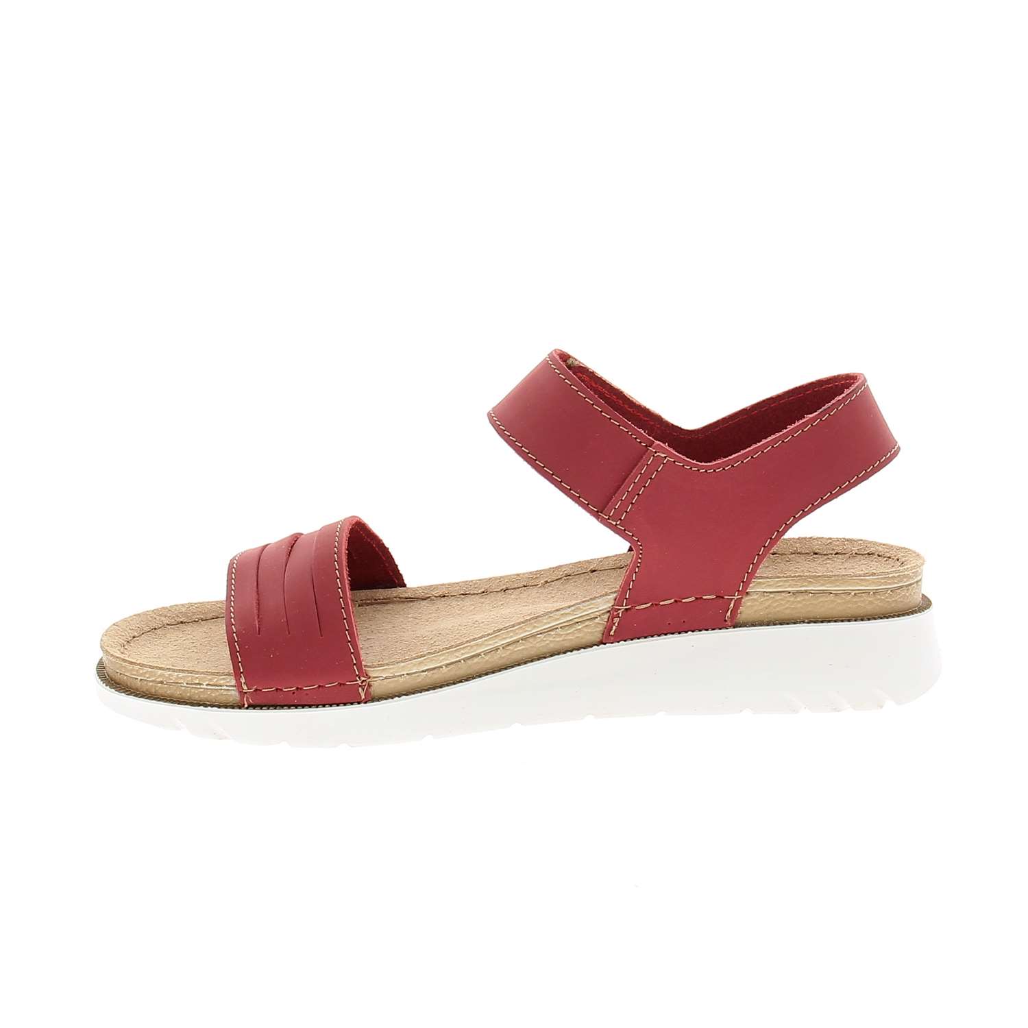 03 - CANE - INBLU -  - Cuir