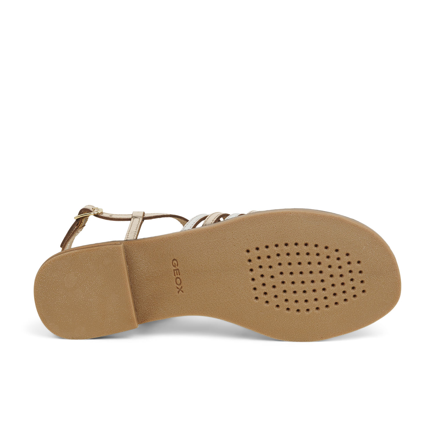 05 - MADDALUSIA - GEOX -  - Cuir