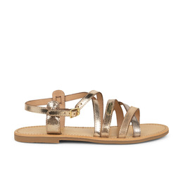 01 - HAPAX GUM - LES TROPEZIENNES -  - Cuir