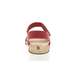 04 - CANE - INBLU -  - Cuir
