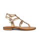 01 - HAURELIA - LES TROPEZIENNES -  - Cuir