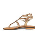 04 - HAURELIA - LES TROPEZIENNES -  - Cuir