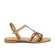 01 - HIROGUMPO - LES TROPEZIENNES -  - Cuir