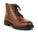 02 - BULLINO - BULLBOXER -  - Cuir